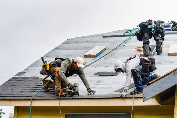 Professional Gutter Installation technician working in Dana, IL